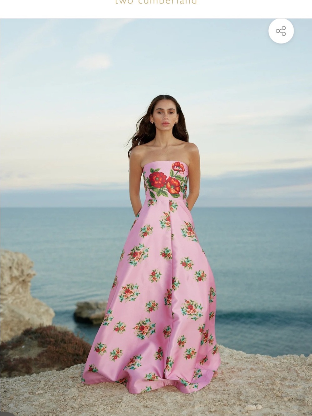 Aston studio pink formal gown